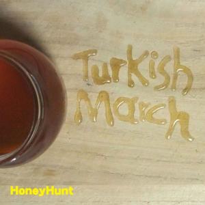 收聽HoneyHunt的Turkish March Single歌詞歌曲
