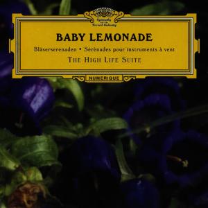 ดาวน์โหลดและฟังเพลง Song for Epic พร้อมเนื้อเพลงจาก Baby Lemonade