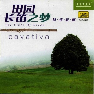 收聽South China Music Troupe的Beach Song歌詞歌曲
