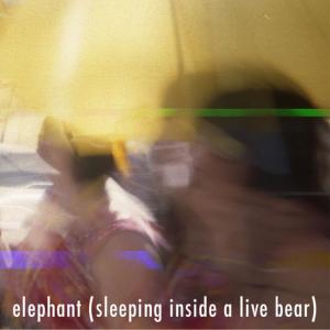 ดาวน์โหลดและฟังเพลง Elephant พร้อมเนื้อเพลงจาก Elephant