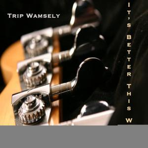 ดาวน์โหลดและฟังเพลง If This Were A Movie พร้อมเนื้อเพลงจาก Trip Wamsley