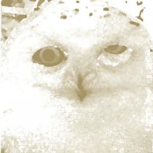 ดาวน์โหลดและฟังเพลง Inertia I พร้อมเนื้อเพลงจาก Core Of The Coalman