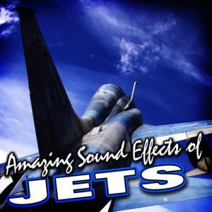 ดาวน์โหลดและฟังเพลง Sr71a Blackbird Jet Fighter Plane Passes Overhead Slowly พร้อมเนื้อเพลงจาก Sound FX