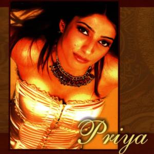 ดาวน์โหลดและฟังเพลง Broken Heart พร้อมเนื้อเพลงจาก PRIYA