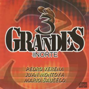 收聽Pedro Yerena的Indomable歌詞歌曲