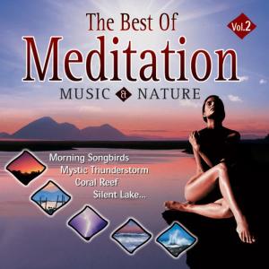 ดาวน์โหลดและฟังเพลง Mystic Thunderstorm - Awakening Wildlife พร้อมเนื้อเพลงจาก The Music