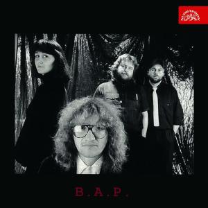 ดาวน์โหลดและฟังเพลง Cvrček พร้อมเนื้อเพลงจาก B. A. P