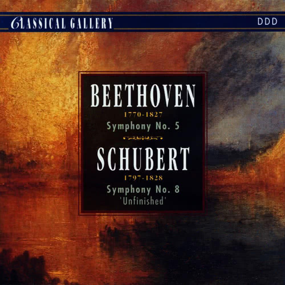 Symphony No. 5 in C Minor, Op. 67: III. Allegro