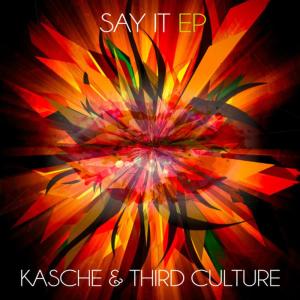 ดาวน์โหลดและฟังเพลง Say It (Johnny Detroid & Early Le Doc Remix) พร้อมเนื้อเพลงจาก Kasche
