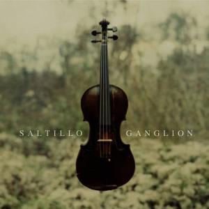 ดาวน์โหลดและฟังเพลง A Necessary End พร้อมเนื้อเพลงจาก Saltillo