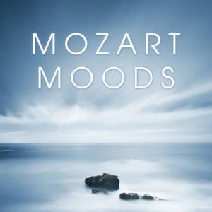 收聽Wiener Mozart Ensemble的Cassation in G Major, K. 63: III. Andante歌詞歌曲