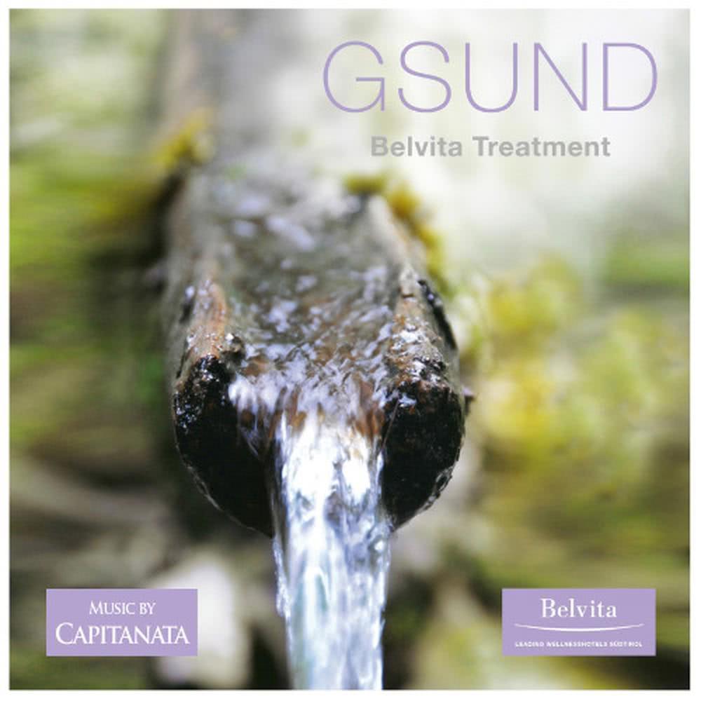 Gsund