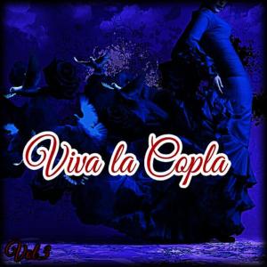 ดาวน์โหลดและฟังเพลง La Tortolita พร้อมเนื้อเพลงจาก Antonio Molina