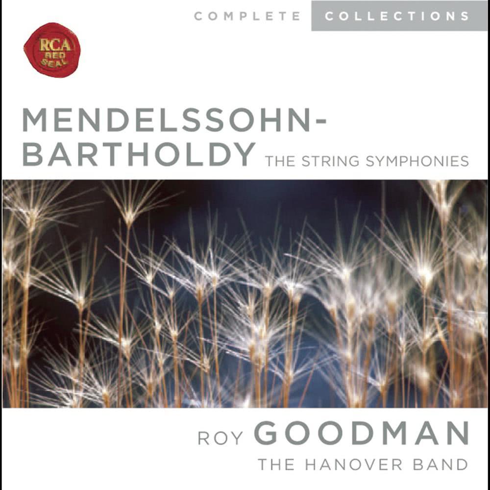 String Symphony No. 1 in C Major, MWV N 1: II. Andante
