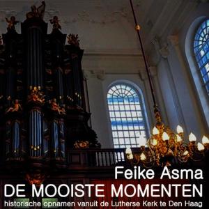 ดาวน์โหลดและฟังเพลง Er Gaat door alle Landen(Koraalbewerkingen) พร้อมเนื้อเพลงจาก Feike Asma