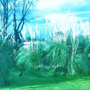 收聽AMY_cin的Admin (纯音乐)歌詞歌曲