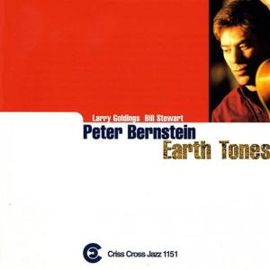 ดาวน์โหลดและฟังเพลง How Deep Is The Ocean พร้อมเนื้อเพลงจาก Peter Bernstein