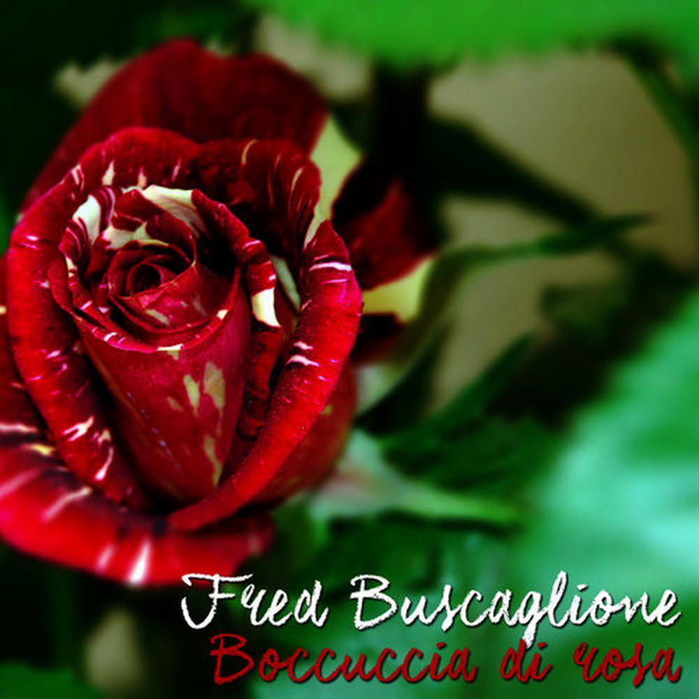 Boccuccia di rosa