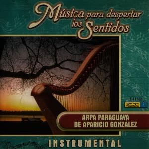 ดาวน์โหลดและฟังเพลง Recuerdos de Ipacarai(Instrumental) (纯音乐) พร้อมเนื้อเพลงจาก Aparicio González