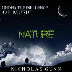 ดาวน์โหลดและฟังเพลง Nature, Under the Influence of Music พร้อมเนื้อเพลงจาก Nicholas Gunn