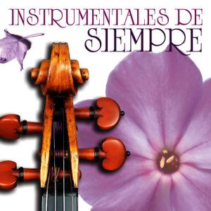 ดาวน์โหลดและฟังเพลง Only You (Instrumental) พร้อมเนื้อเพลงจาก Johnny Days Orchestra