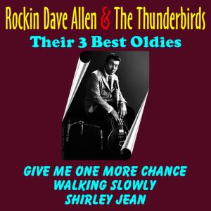 ดาวน์โหลดและฟังเพลง Walking Slowly พร้อมเนื้อเพลงจาก Rockin Dave Allen