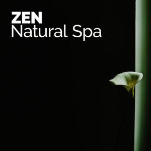 收聽Deep Sleep Nature Sounds的Evening Birds歌詞歌曲