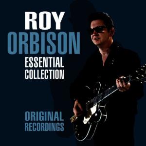 收聽Roy Orbison的Loneliness歌詞歌曲