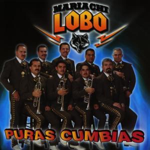 ดาวน์โหลดและฟังเพลง La Chona พร้อมเนื้อเพลงจาก Mariachi Lobo