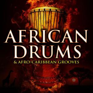 Northquest Players的專輯African Drums and Afro-Caribbean Grooves