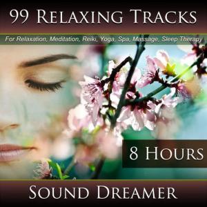 Sound Dreamer的專輯99 Relaxing Tracks (8 Hours) for Relaxation, Meditation, Reiki, Yoga, Spa, Massage and Sleep Therapy