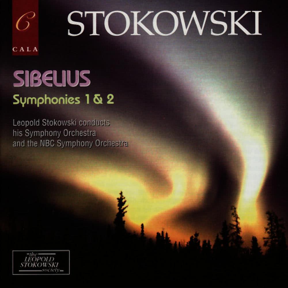 Symphony No. 1 in E Minor, Op. 39: IV. Finale, Andante