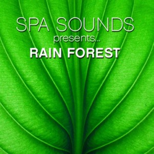 收聽Spa Sounds Players的Rain Forest歌詞歌曲