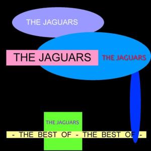 อัลบัม The Best Of ศิลปิน Jaguars