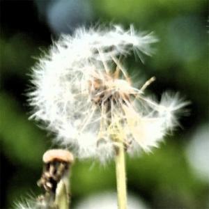 收聽Eg的Cry Baby歌詞歌曲