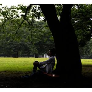 收聽Shinji的君を忘れない歌詞歌曲