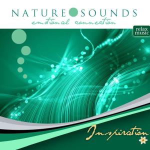 收聽Nature Sounds的Fantasía歌詞歌曲