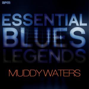 ดาวน์โหลดและฟังเพลง All Aboard พร้อมเนื้อเพลงจาก Muddy Waters
