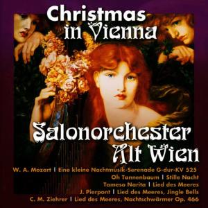 Salonorchester Alt Wien的專輯Christmas In Vienna