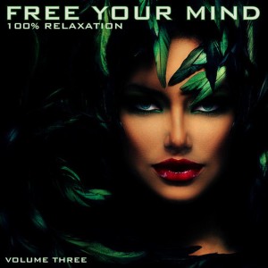 อัลบัม Free Your Mind: 100% Relaxation, Vol. 3 ศิลปิน Mind Movers