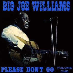 收聽Big Joe Williams的Please Don't Go歌詞歌曲