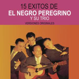 ดาวน์โหลดและฟังเพลง Boleros de Agustín พร้อมเนื้อเพลงจาก El Negro Peregrino Y Su Trio