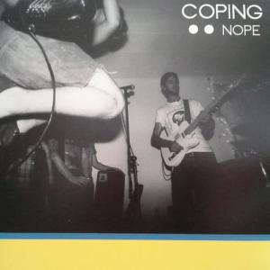 ดาวน์โหลดและฟังเพลง Teach Me How to Fish พร้อมเนื้อเพลงจาก Coping