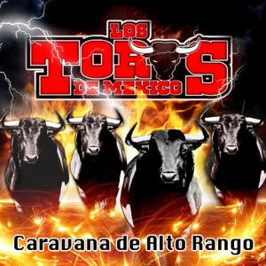 ดาวน์โหลดและฟังเพลง No Logre Olvidarte พร้อมเนื้อเพลงจาก Los Toros de Mexico