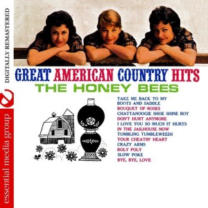 ดาวน์โหลดและฟังเพลง I Love You So Much It Hurts (Remaster) พร้อมเนื้อเพลงจาก The Honey Bees