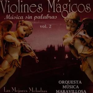 收聽Orquesta Música Maravillosa的Tiernamente歌詞歌曲