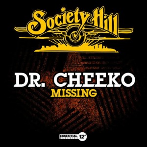 收聽Dr. Cheeko的Missing歌詞歌曲