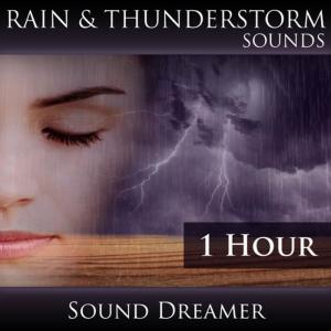 ดาวน์โหลดและฟังเพลง Rain and Thunderstorm Sounds - 1 Hour พร้อมเนื้อเพลงจาก Sound Dreamer