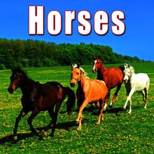 Sound Ideas的專輯Animals: Horses