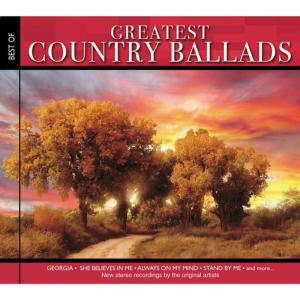 ดาวน์โหลดและฟังเพลง For The Good Times พร้อมเนื้อเพลงจาก David Houston